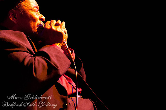 James Cotton 2