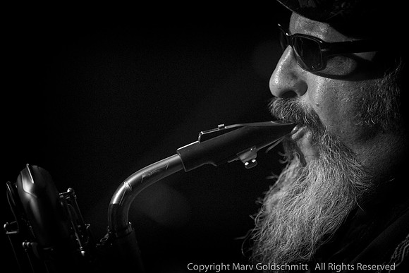 Steve Berlin -- Los Lobos