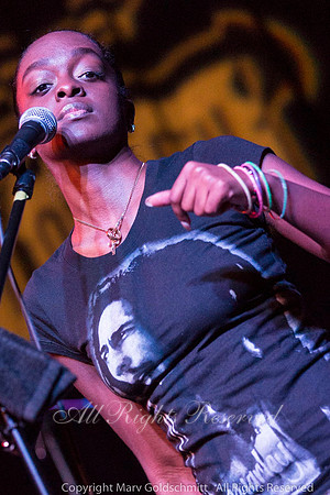 The Wailers