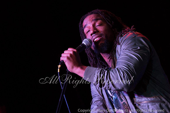 The Wailers
