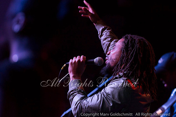 The Wailers