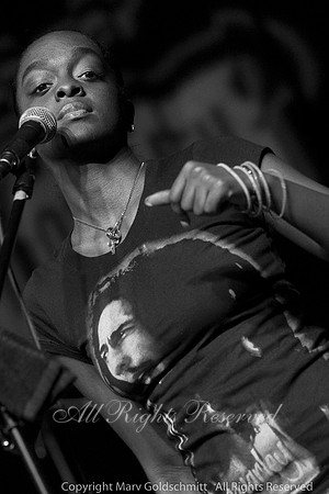 The Wailers