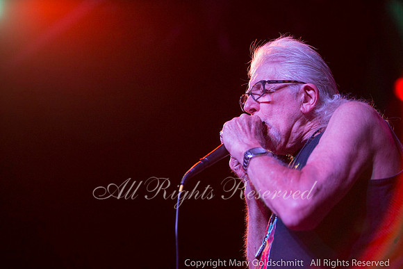 John Mayall