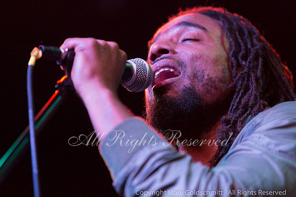 The Wailers