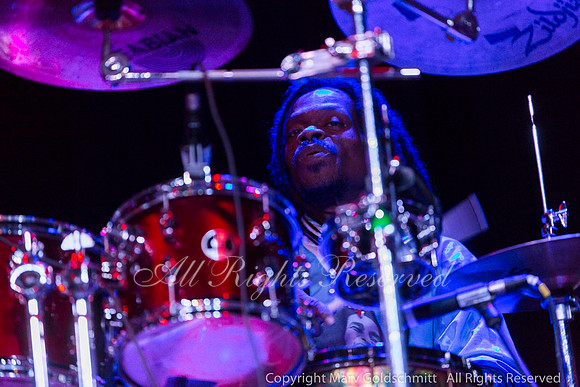 The Wailers