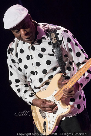Buddy Guy