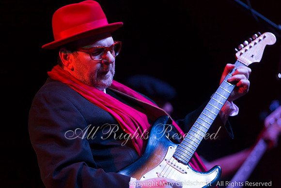 Ronnie Earl