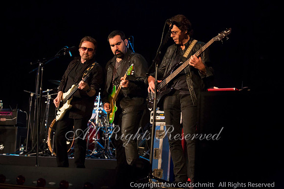 Blue Oyster Cult