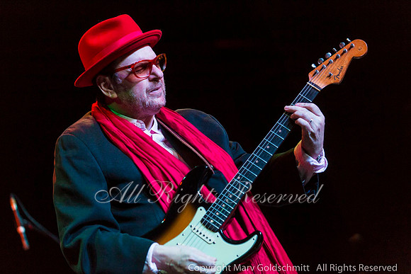Ronnie Earl