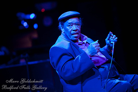 James Cotton, Bluesman